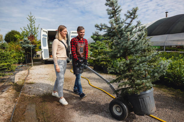 Best Tree Removal  in Avondale Estates, GA